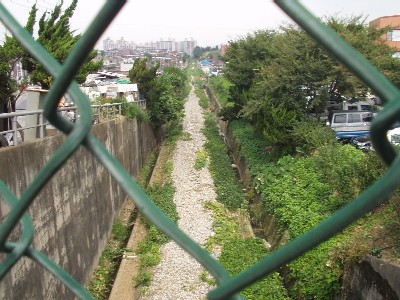 �졦�����ȿ���������ʬ����