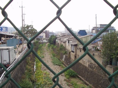 Φ��������������̤�˾��