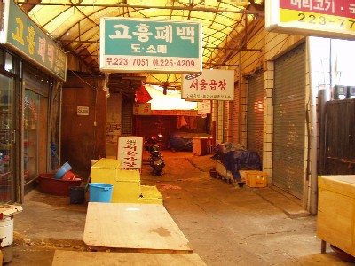 ���������ɣ�